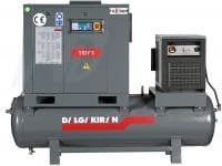 Винтовой компрессор DALGAKIRAN TIDY 5-7.5-200D в Челябинске | DILEKS.RU