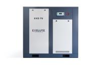 Винтовой компрессор EXELUTE EXV 250/7 ZONCN IP54 в Челябинске | DILEKS.RU
