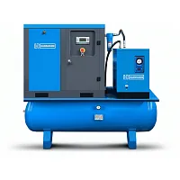 Винтовой компрессор Hansmann RSA 7.5-13-500DR IP23 в Челябинске | DILEKS.RU