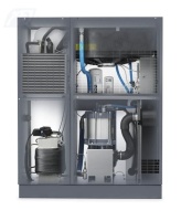 Винтовой компрессор Atlas Copco GA55 VSD+13FF в Челябинске | DILEKS.RU