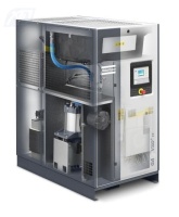 Винтовой компрессор Atlas Copco GA11 VSD+13FF в Челябинске | DILEKS.RU